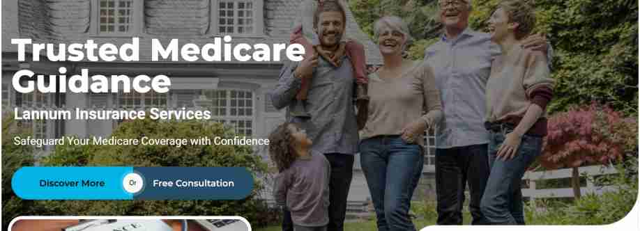 Lannuminsurance Services Cover Image