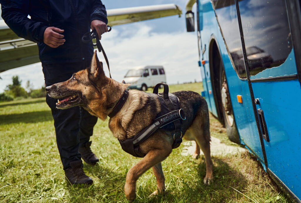 24 Hour Dog Security London | Dog Guard Security