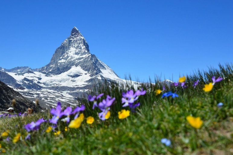 Switzerland Private Tours Guide | Tour Operator Switzerland | Typically Swiss Tours