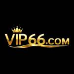 VIP66 profile picture