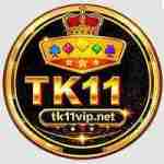 tk11 vipnet Profile Picture