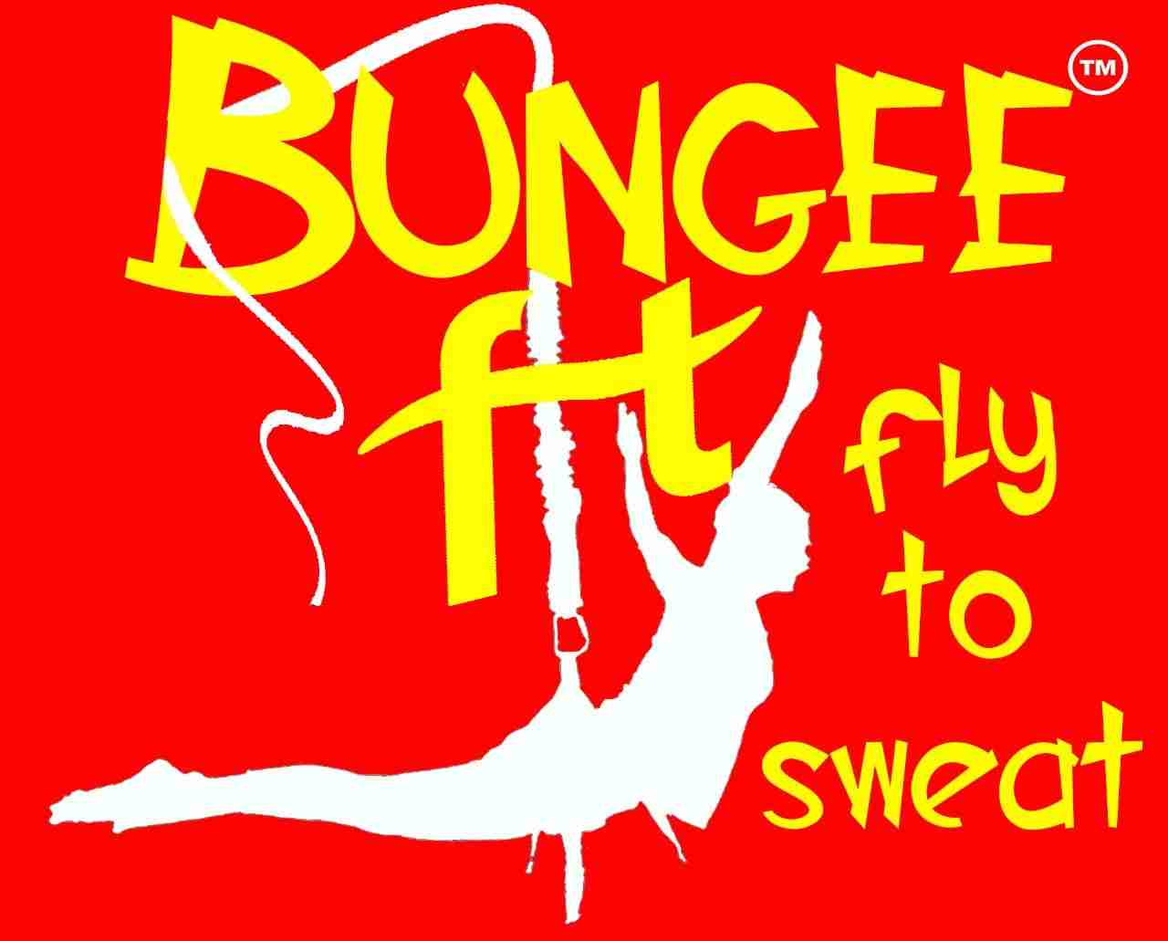 Bungee Fit India Profile Picture