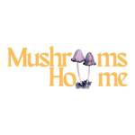 Buy Magic Mushrooms Profile Picture