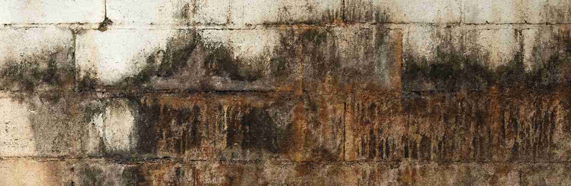 AllenJawad484 Cover Image