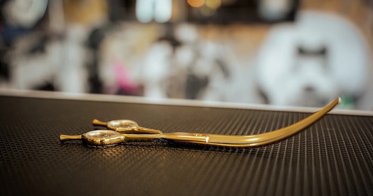 Curved vs Straight Dog Grooming Scissors: Which Do You Actually Need?