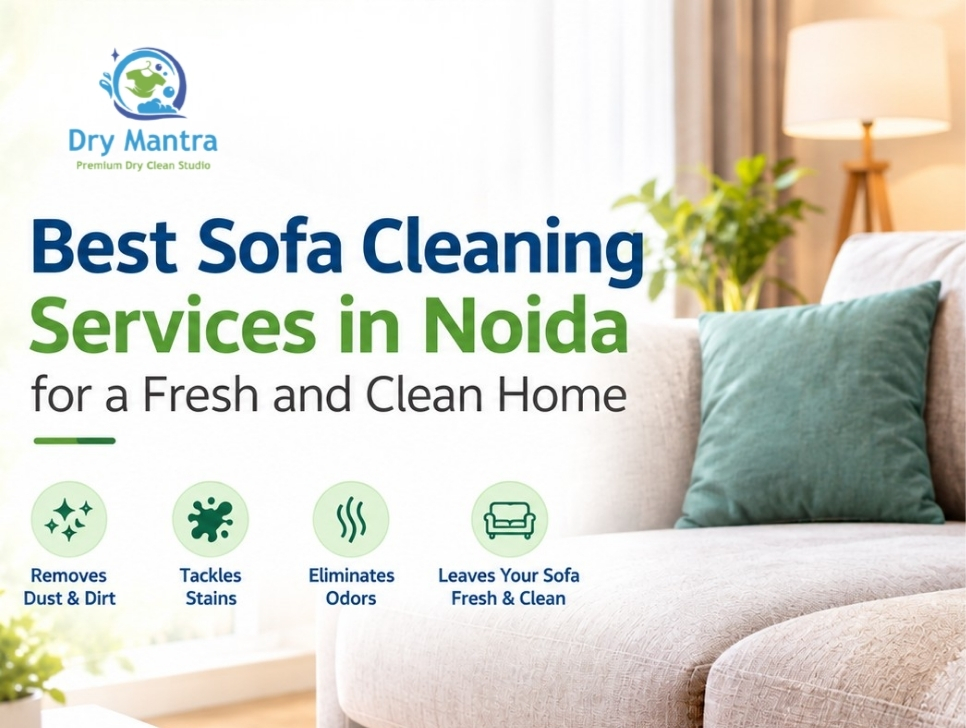 Best Sofa Cleaning Services in Noida for a Fresh and Clean Home – Dry Mantra