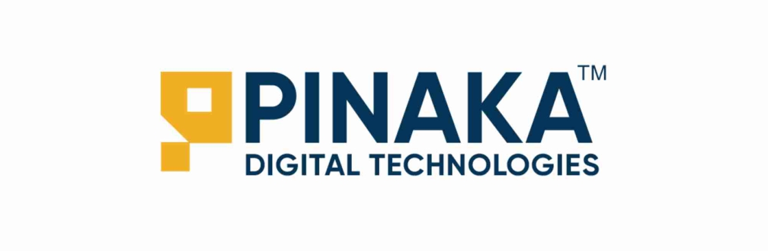 Pinaka Digital Technologies Digital marketing agency Cover Image