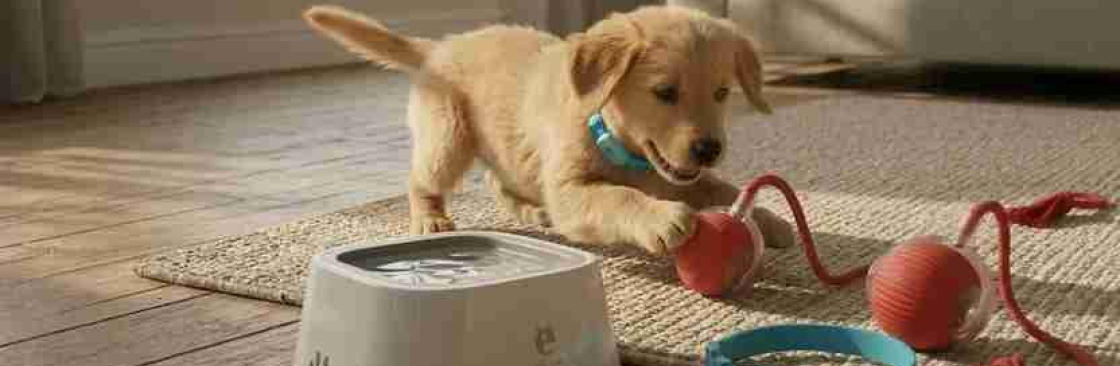Azpaws Pet Collections Cover Image