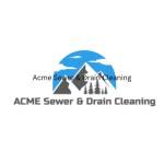 Acme Sewer Drain Cleaning Profile Picture