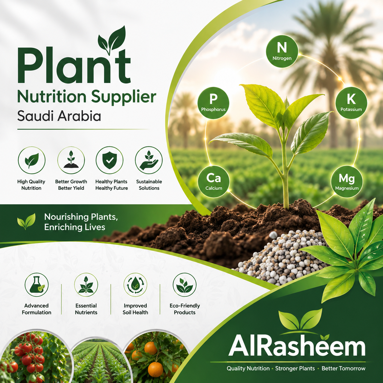 Plant Nutrition Supplier Saudi Arabia for Healthy Growth – AlRasheem
