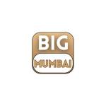 Big Mumbai Game Profile Picture