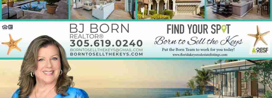 Born To Sell The Keys Cover Image
