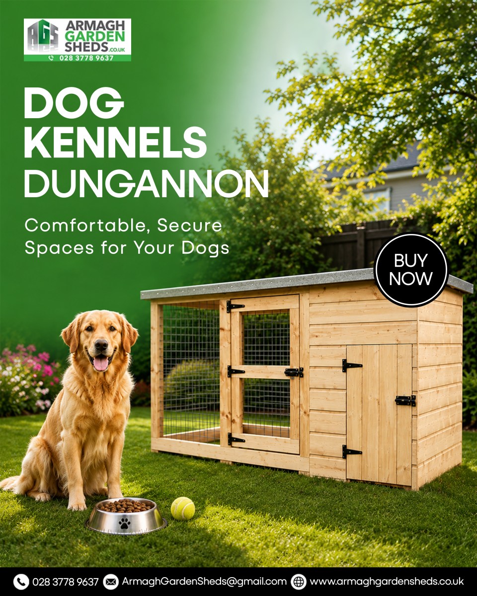 How to Choose the Right Dog Kennels in Newcastle, Armagh & Newry – dogkennels