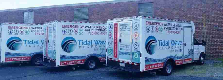 Tidal Wave Response Cover Image