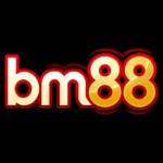 BM88 Profile Picture