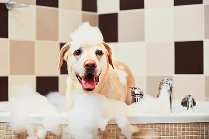 How to Build a Grooming Routine With Artero Supplies – ReasonsTo.com.au