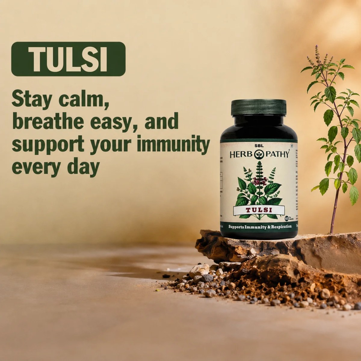Best Tulsi Supplements For Immunity Booster Online – SBL Herbopathy