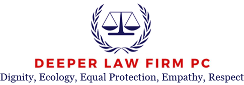Land Use Attorney in Wilmington, NC | Deeper Law Firm