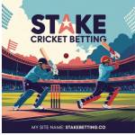 stake Betting Profile Picture
