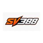 Sv388 Profile Picture