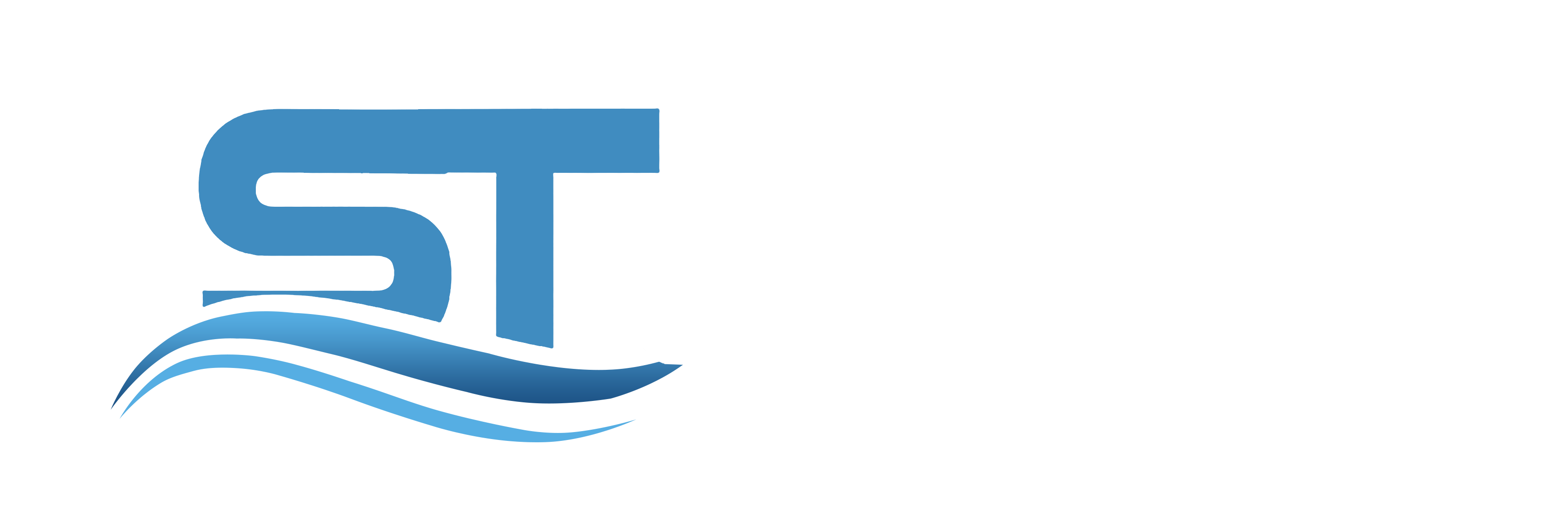 SEO Services – Sangita Technologies