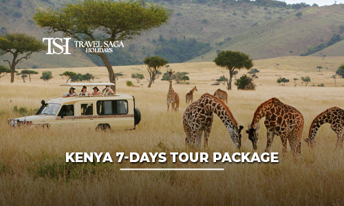 Kenya 7 Days Safari Tour Package | Best Kenya Holiday Deals