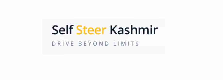 Self Steer Cover Image