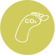 Leading Plant-Based Protein Manufacturer in India - Proeon