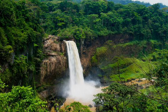 Congo Wildlife Safari | 3 Days 2 Nights Adventure Tour Package
