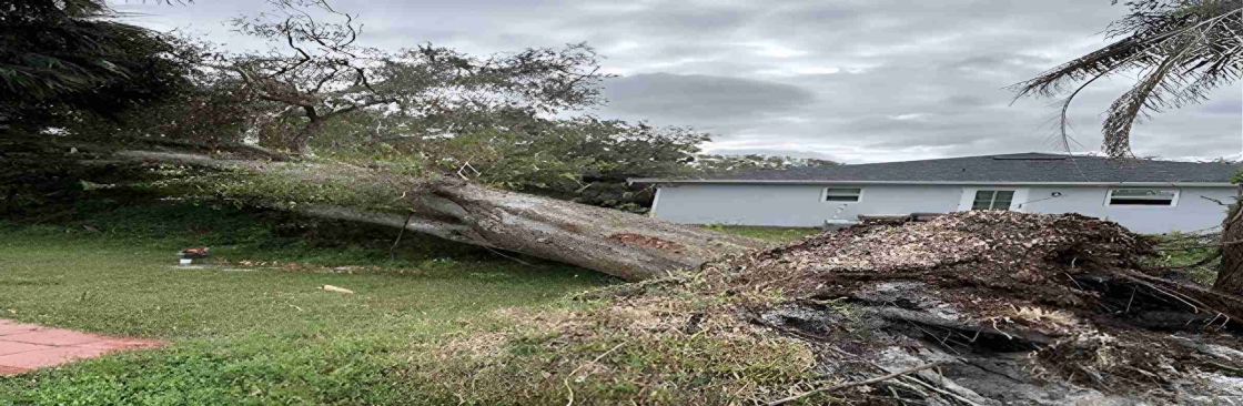 Tree Squad Removal LLC Cover Image