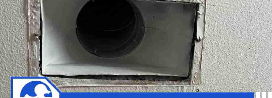 Dirty Ducks No More And Dryer Vent Cover Image