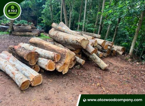 Genuine Afromosia Logs for Sale at Affordable Price