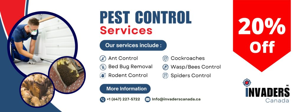 Pest Control Toronto & GTA | Same-Day Service | Invaders Canada