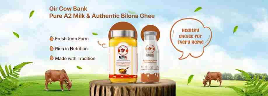 Gir Cow Bank Cover Image