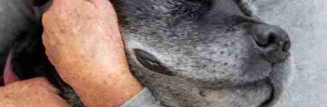 Gentle Pet Crossing Cover Image