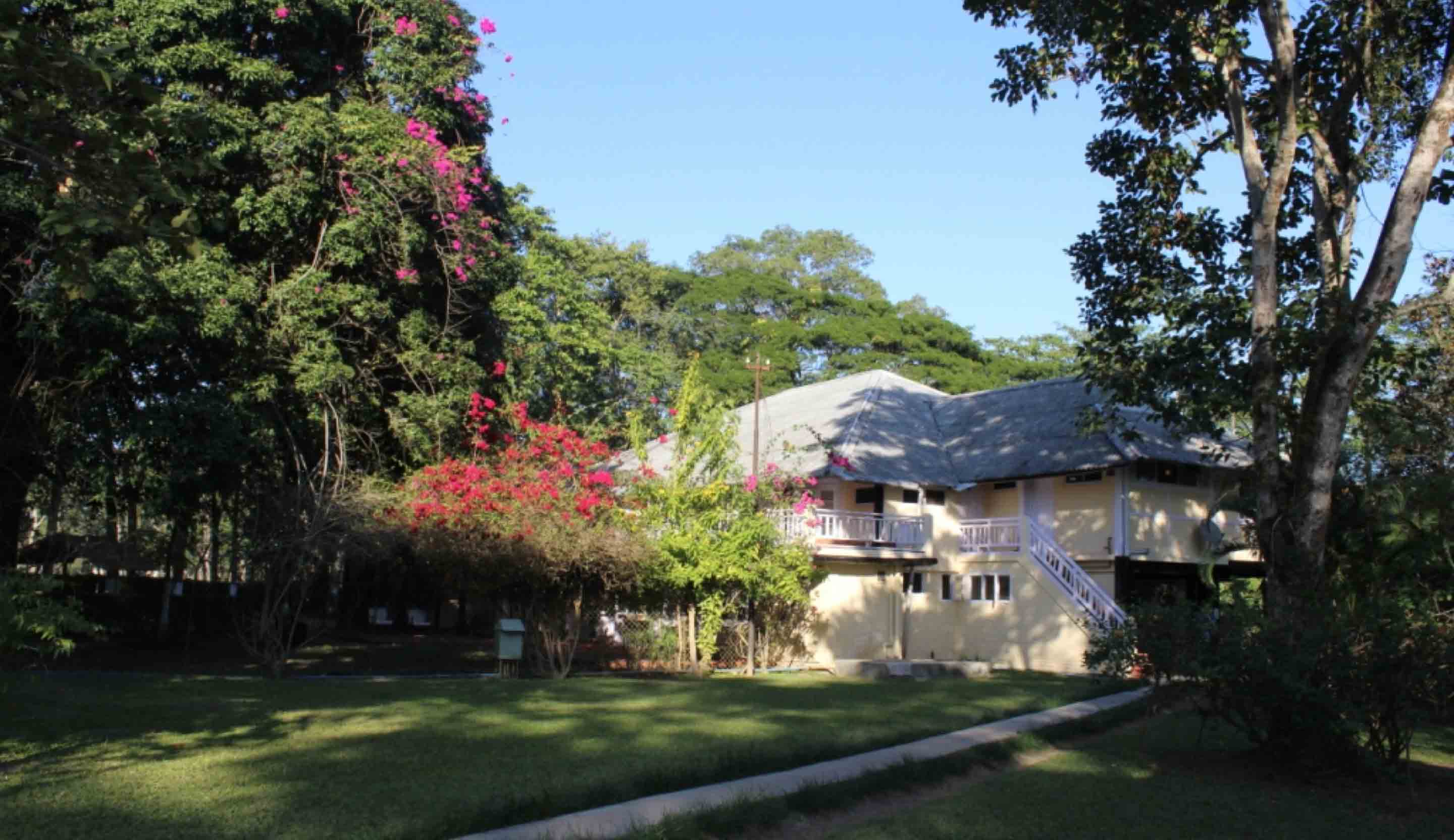 Assam Tour Packages & Heritage Tea Stays | Purvi Discovery