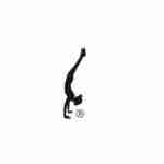 thehandstandshop Profile Picture