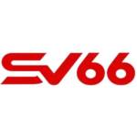 sv66 store Profile Picture