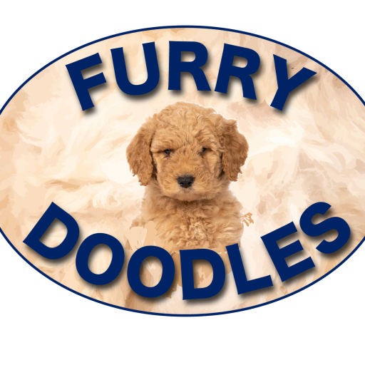 Furry Doodles - Furry Doodles