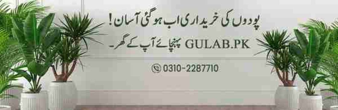 Gulab Pakistan Cover Image