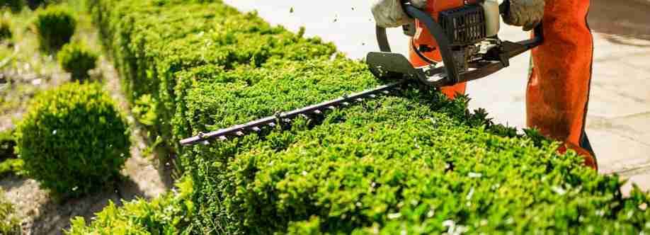 Bruno Ferazza Tree Service Cover Image