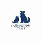 The Puppy Time Profile Picture