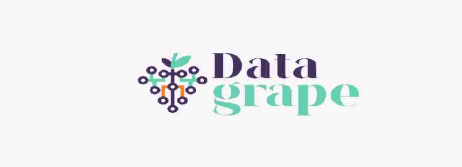 Data grape Cover Image