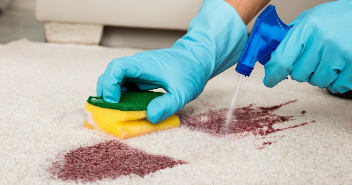 How to Get Stains Out of Carpet: A Complete Carpet Stain Removal Guide