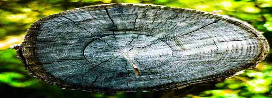 Melbourne Stump Removal Cover Image