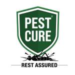 Pest cure Profile Picture