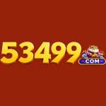 53499 org Profile Picture