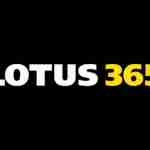 ilotus profile picture