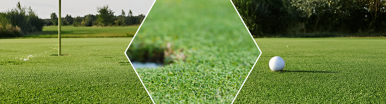 Best Golf Turf Manufacturer: How to Find the Right One - WikiNewsPortal