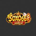 Soxo66 Net Profile Picture